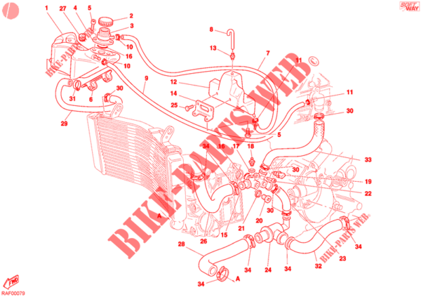 Sensore temperatura acqua Ducati 55240131A