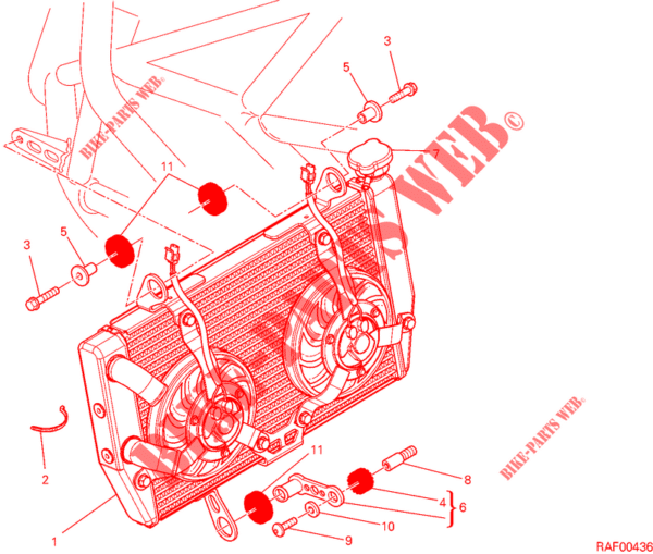 Vite Ducati 77250121B